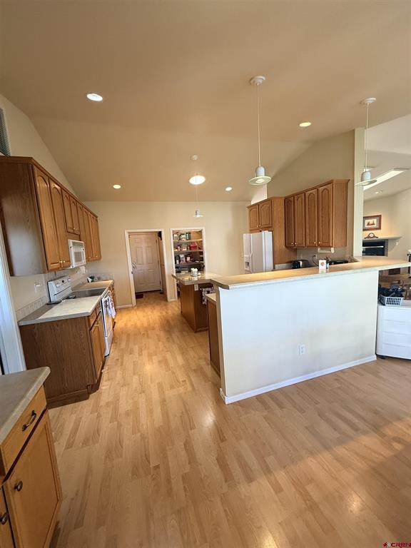 1669 Wetterhorn Drive Montrose CO 81401