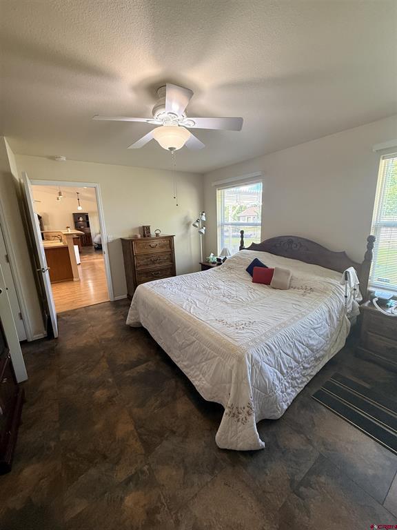 1669 Wetterhorn Drive Montrose CO 81401