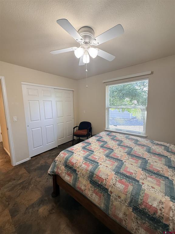 1669 Wetterhorn Drive Montrose CO 81401