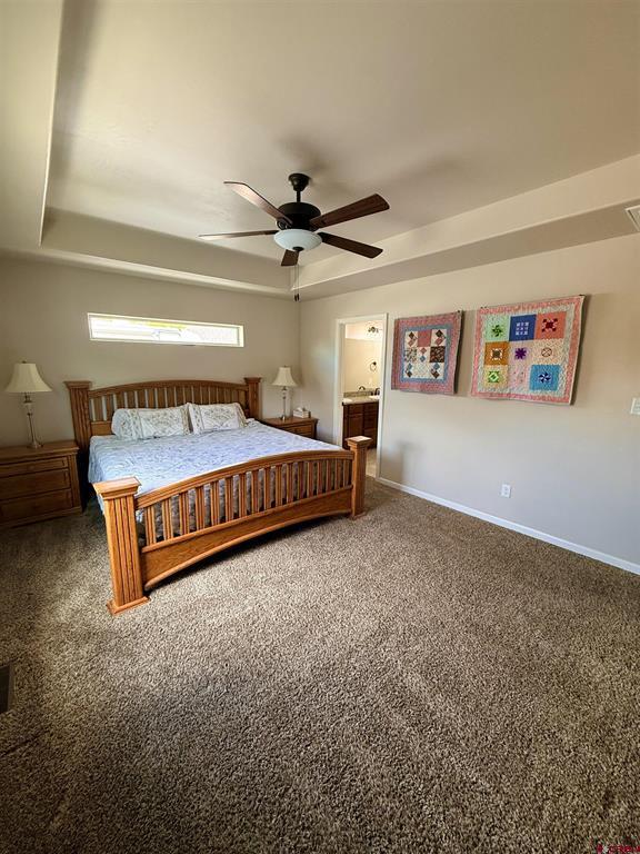 1526 Hickory Drive Montrose CO 81401