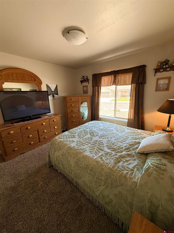1526 Hickory Drive Montrose CO 81401
