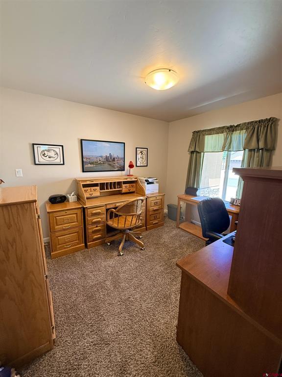 1526 Hickory Drive Montrose CO 81401