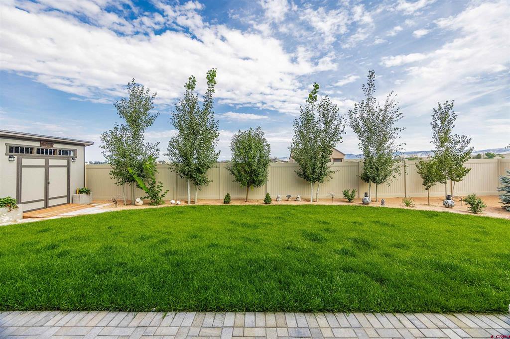 3513 Ashberry Street Montrose CO 81401