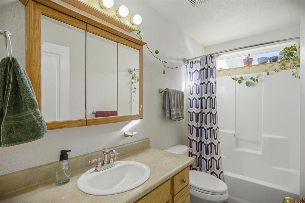 228 Saddle Circle Pagosa Springs CO 81147