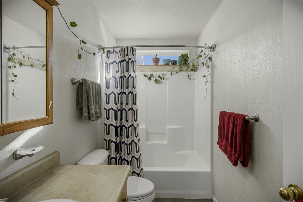 228 Saddle Circle Pagosa Springs CO 81147