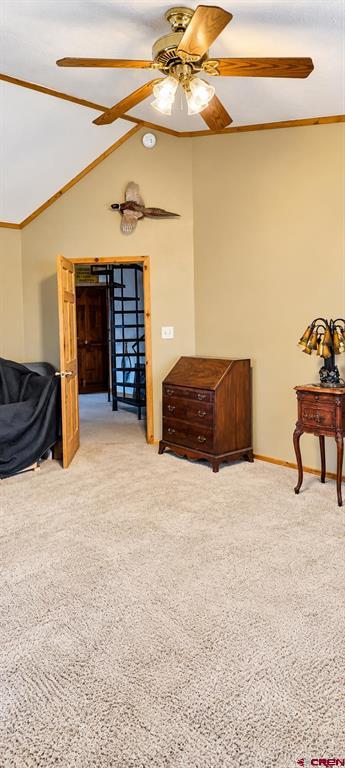 247 Cottonwood Drive South Fork CO 81154