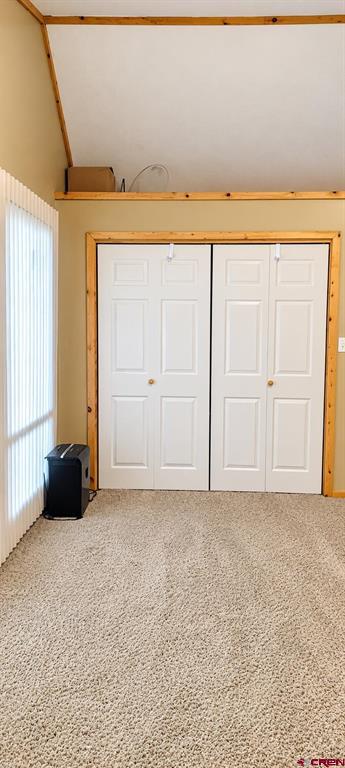 247 Cottonwood Drive South Fork CO 81154