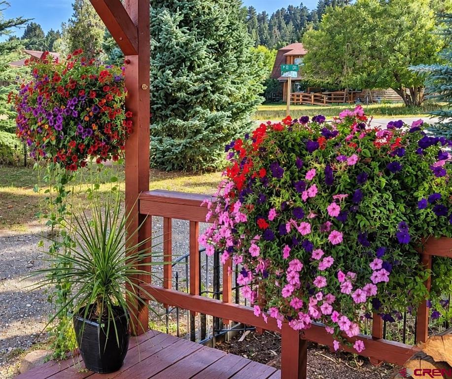 247 Cottonwood Drive South Fork CO 81154