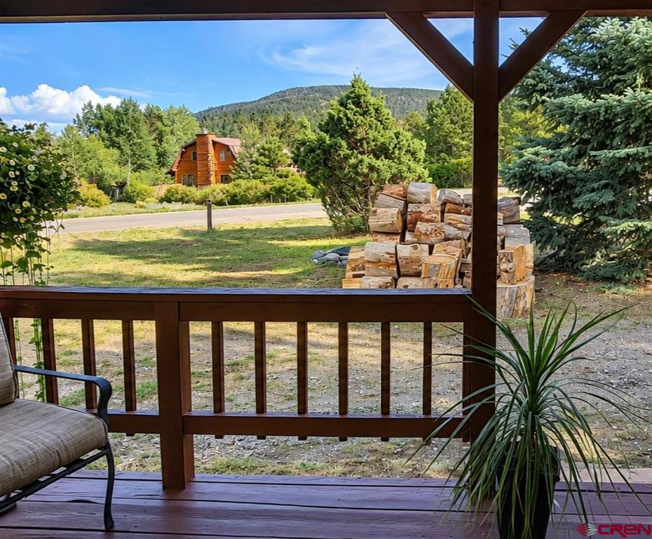 247 Cottonwood Drive South Fork CO 81154