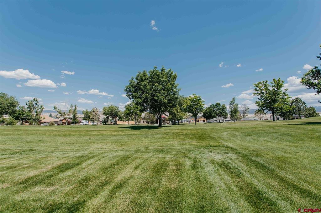 3412 Mahogany Drive Montrose CO 81401