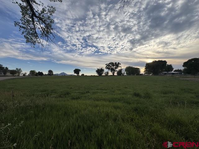 12482 Road 25 Cortez CO 81321