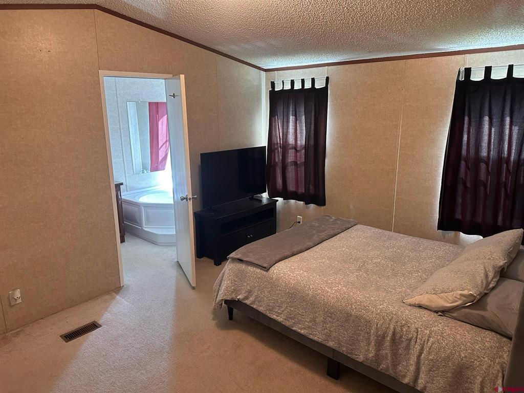 1330 Cement Street Silverton CO 81433