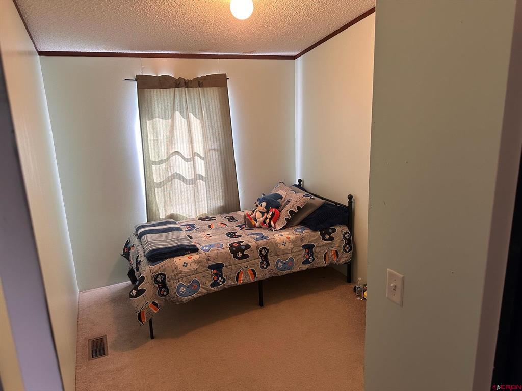 1330 Cement Street Silverton CO 81433