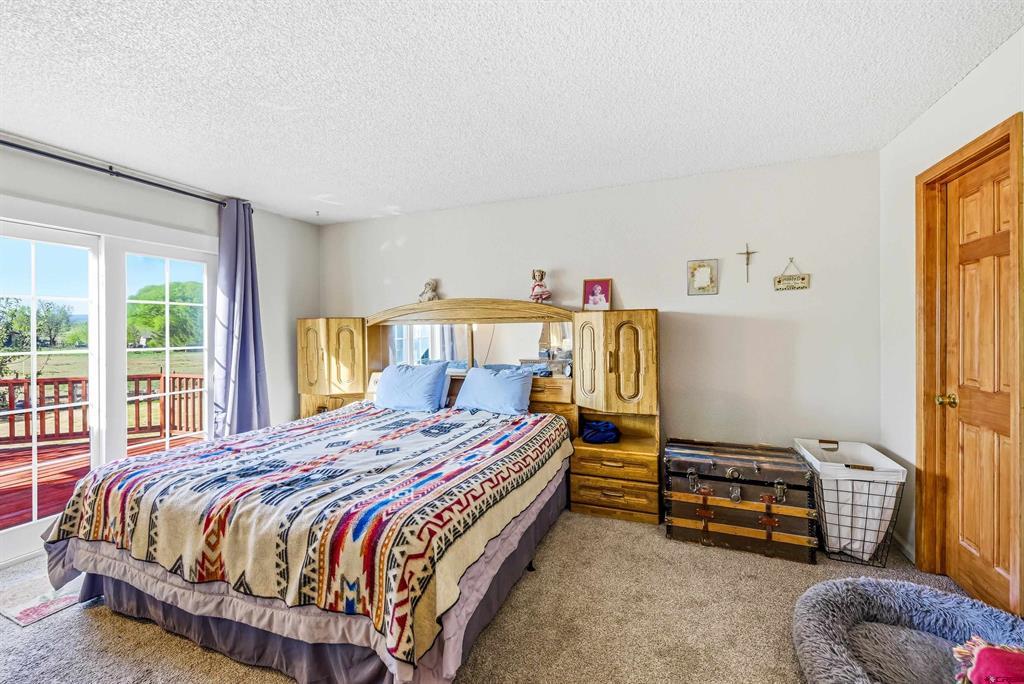 61100 Lobo Drive Montrose CO 81403