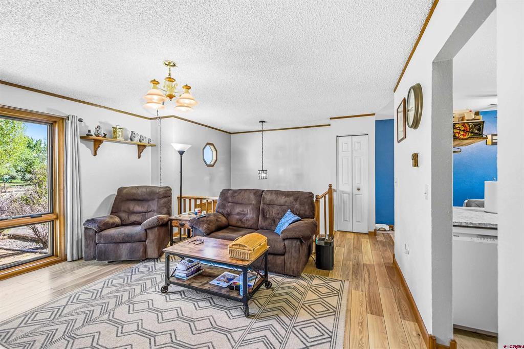 61100 Lobo Drive Montrose CO 81403