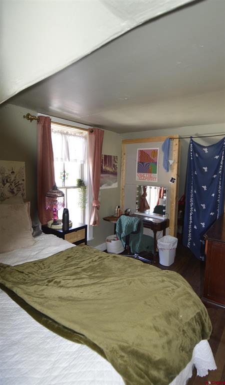 839 Reese Street Silverton CO 81433