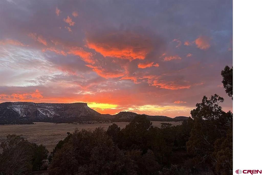 7454 Road 37 Road Mancos CO 81328
