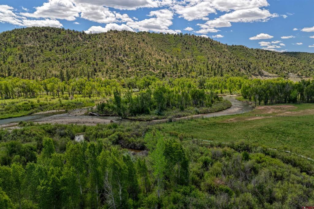 12248 Usfs 613 Road Pagosa Springs CO 81121