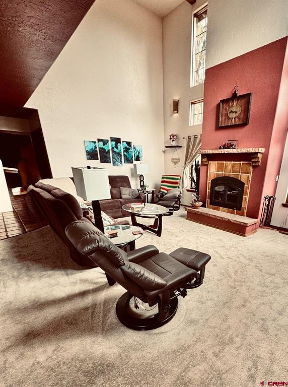 77 Fisher Court Pagosa Springs CO 81147