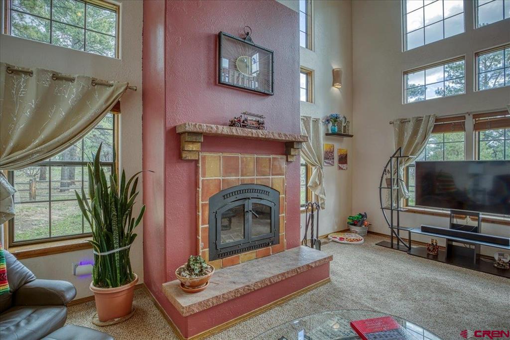 77 Fisher Court Pagosa Springs CO 81147