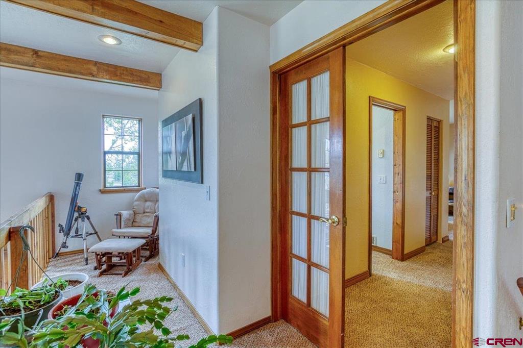 77 Fisher Court Pagosa Springs CO 81147