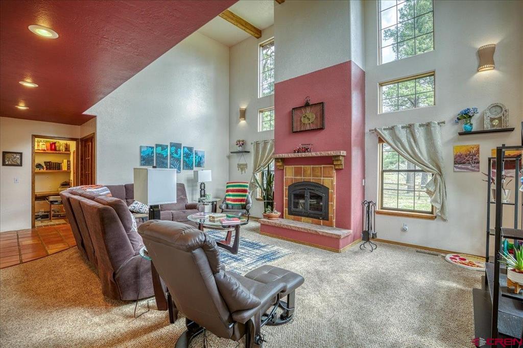 77 Fisher Court Pagosa Springs CO 81147