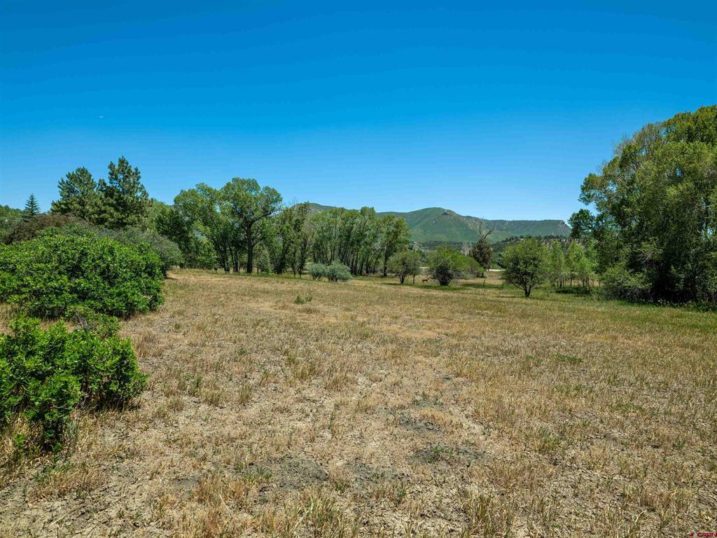 42175 Highway 160 Mancos CO 81328