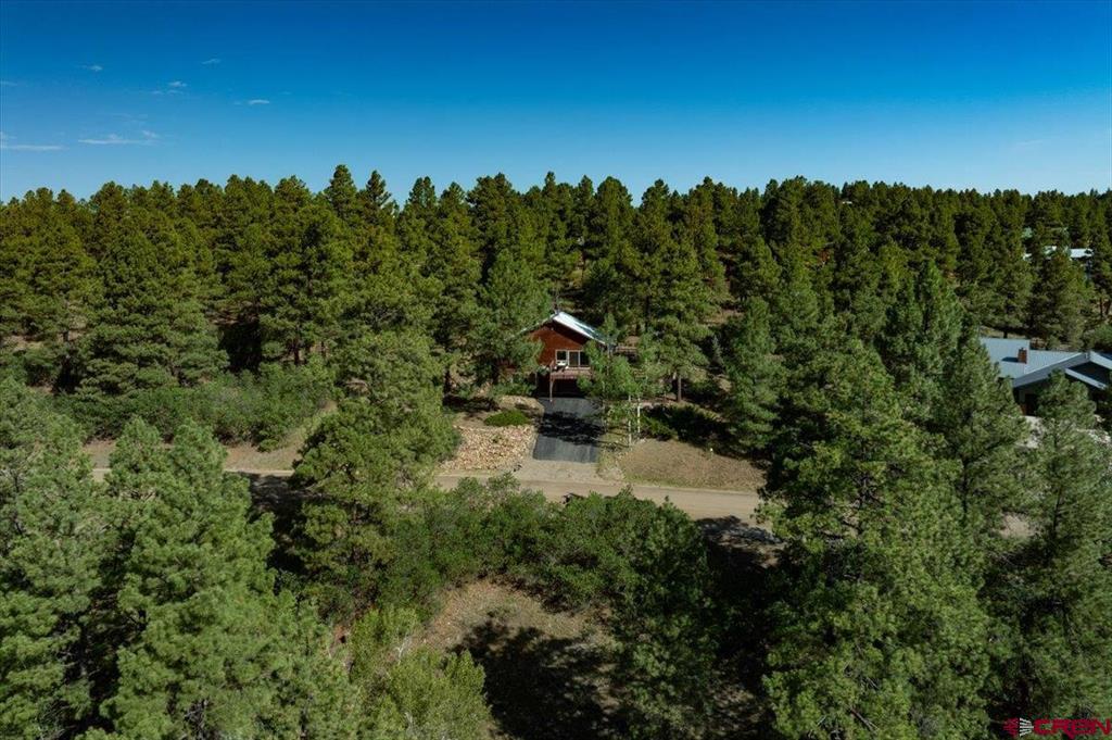 233 Sweetwater Drive Pagosa Springs CO 81147