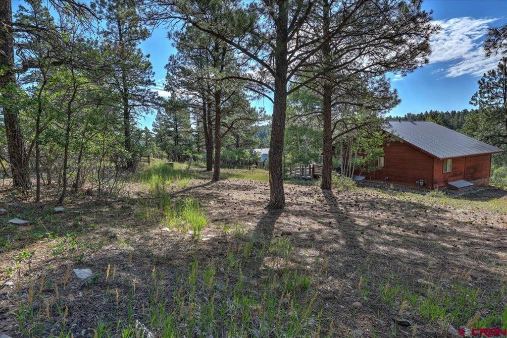 233 Sweetwater Drive Pagosa Springs CO 81147