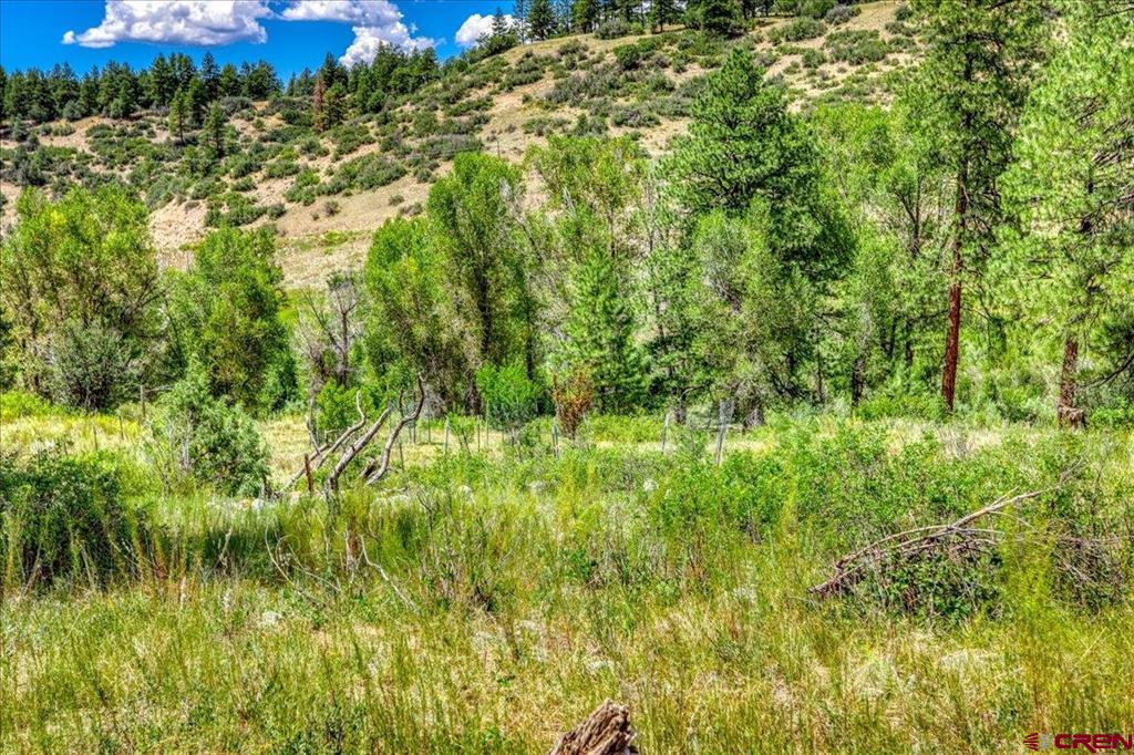 1375 County Road 326 Road Pagosa Springs CO 81147