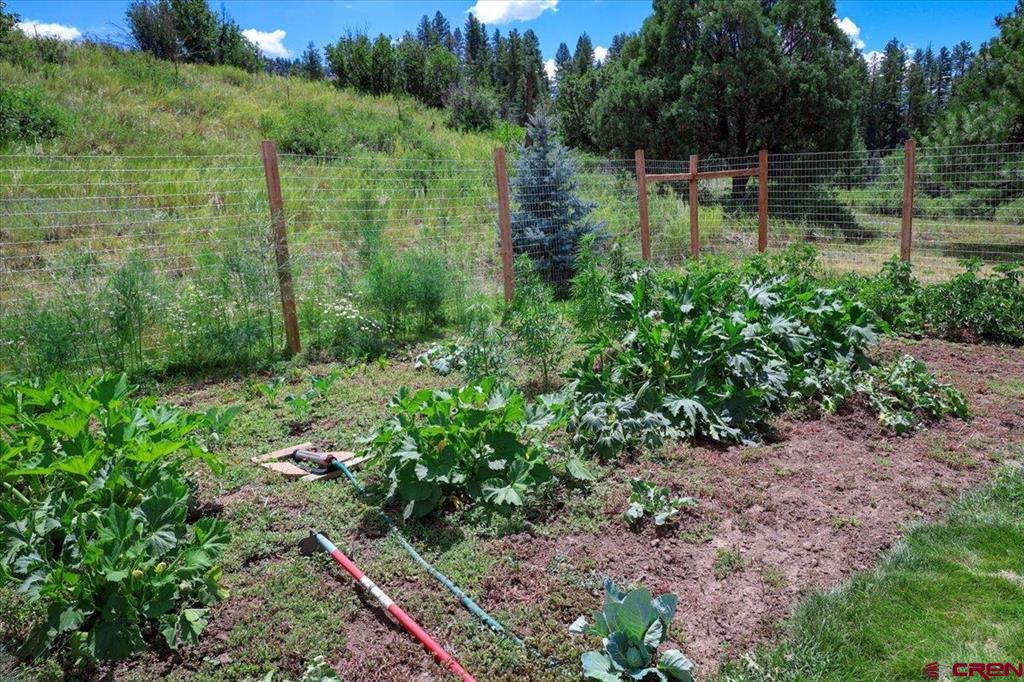1375 County Road 326 Road Pagosa Springs CO 81147