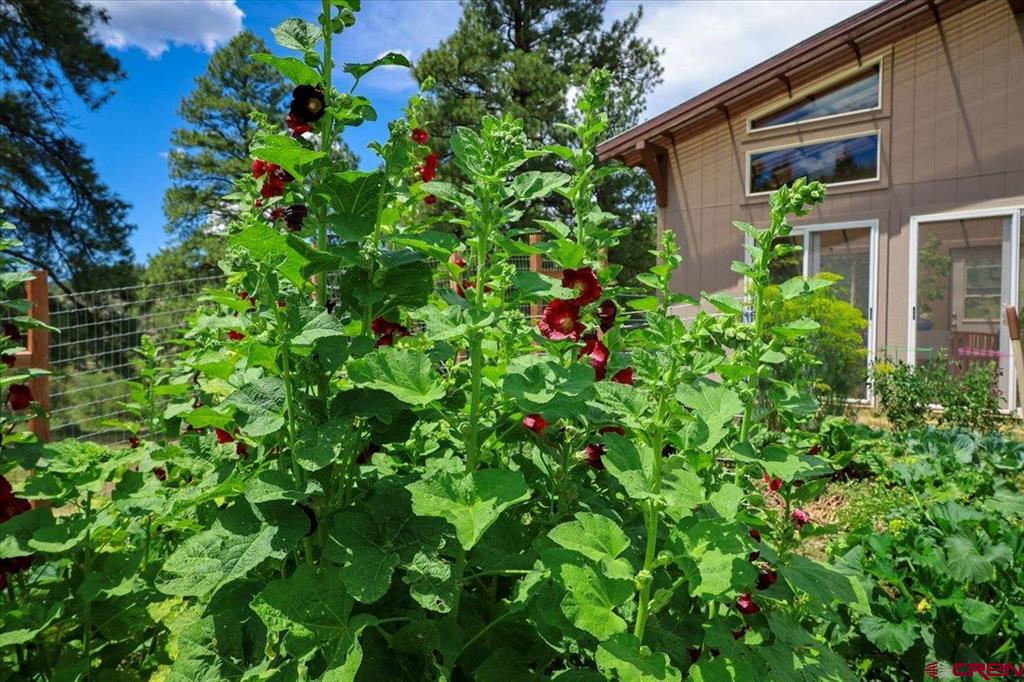 1375 County Road 326 Road Pagosa Springs CO 81147