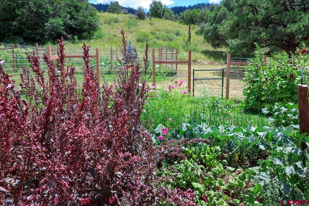 1375 County Road 326 Road Pagosa Springs CO 81147