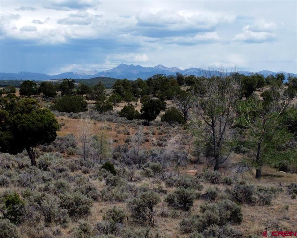 12235 Road 32 Mancos CO 81328