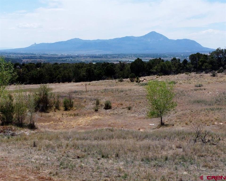 12235 Road 32 Mancos CO 81328