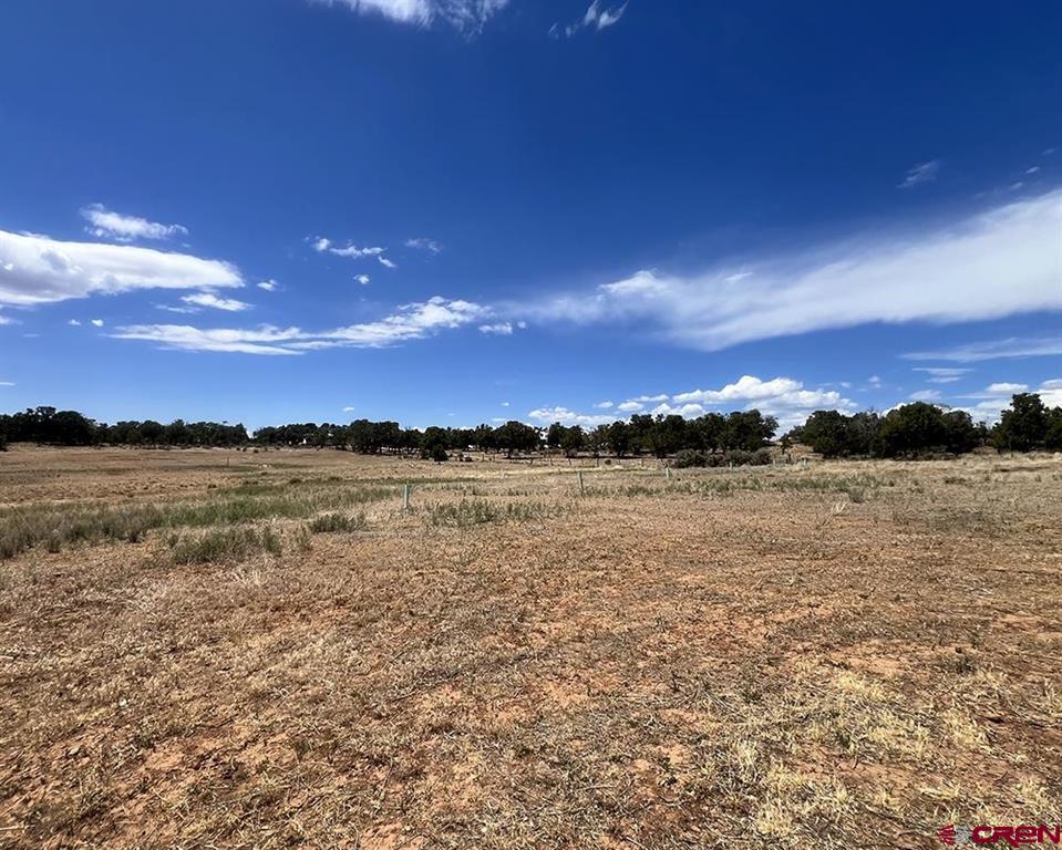12235 Road 32 Mancos CO 81328