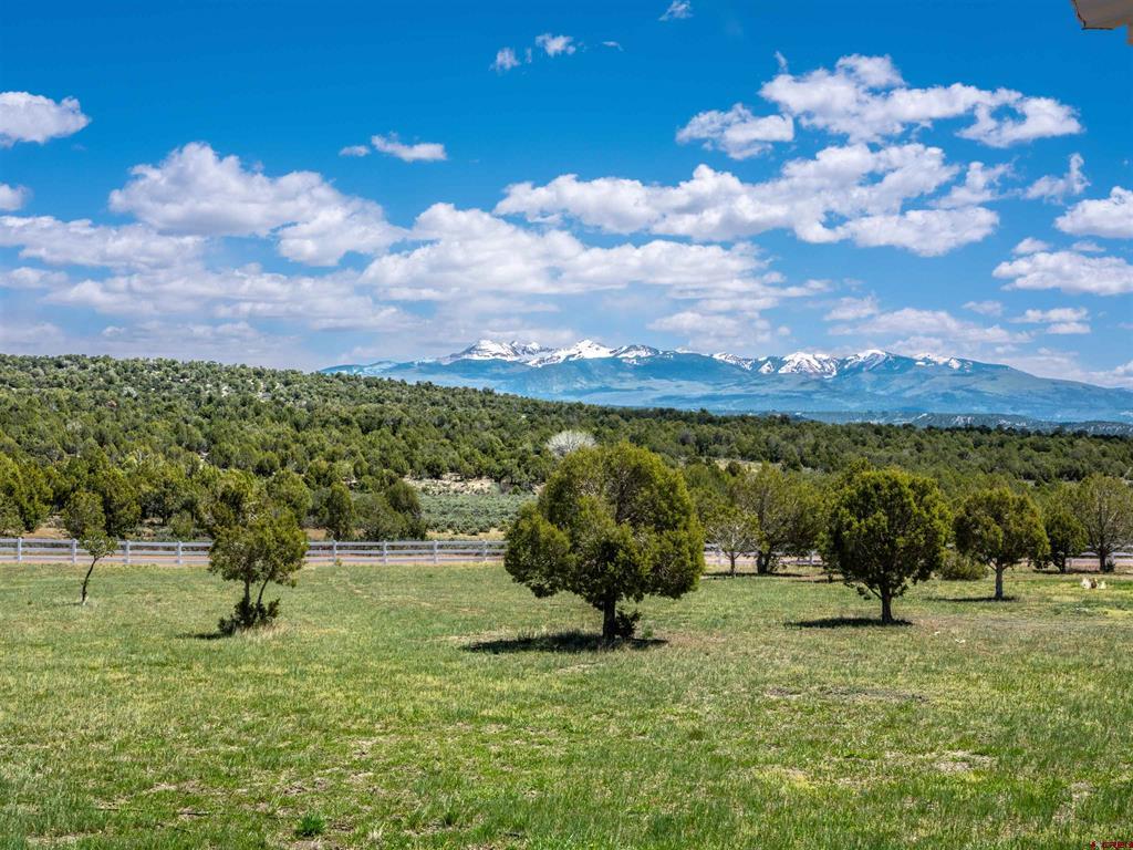 35998 Road J.9 Mancos CO 81328