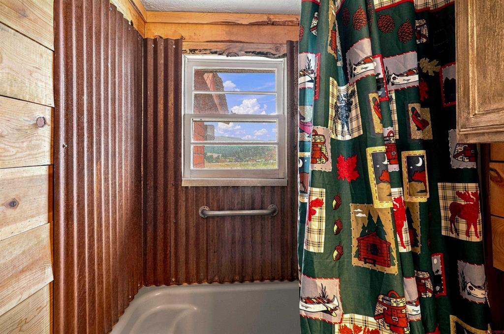 111 Metro Drive Pagosa Springs CO 81147