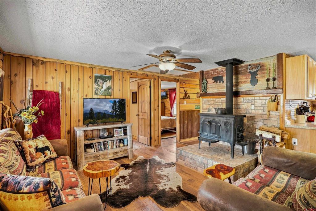 111 Metro Drive Pagosa Springs CO 81147