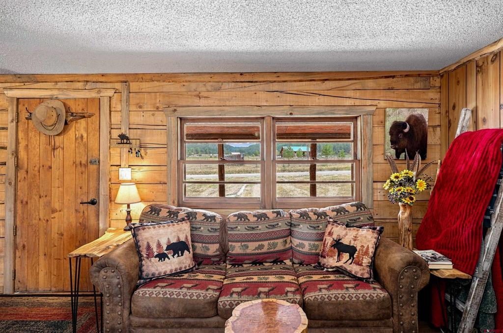 111 Metro Drive Pagosa Springs CO 81147