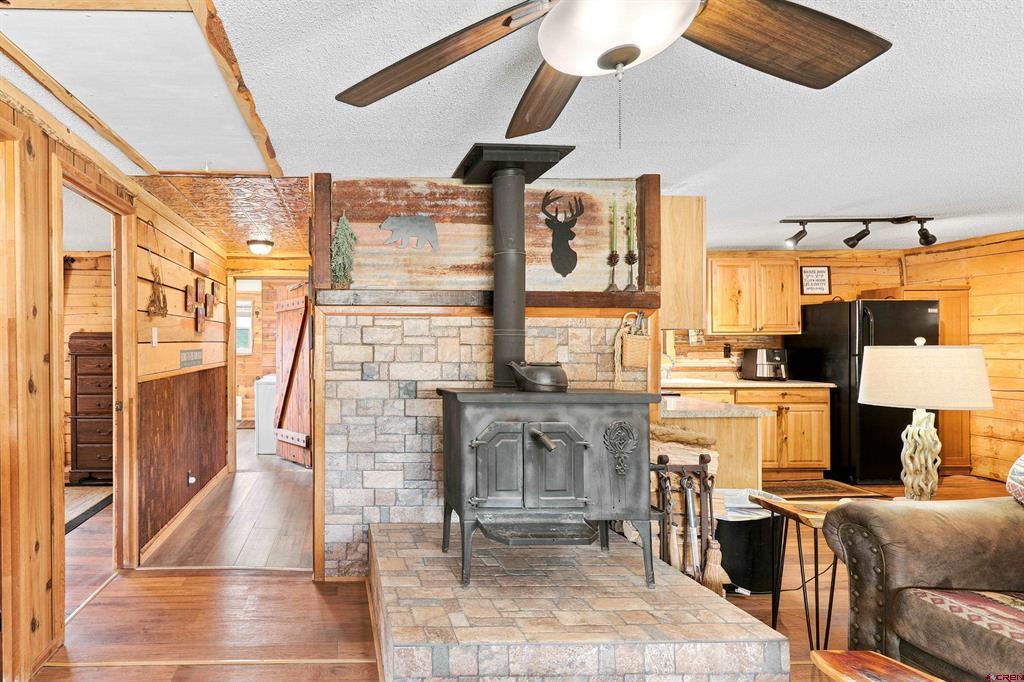 111 Metro Drive Pagosa Springs CO 81147