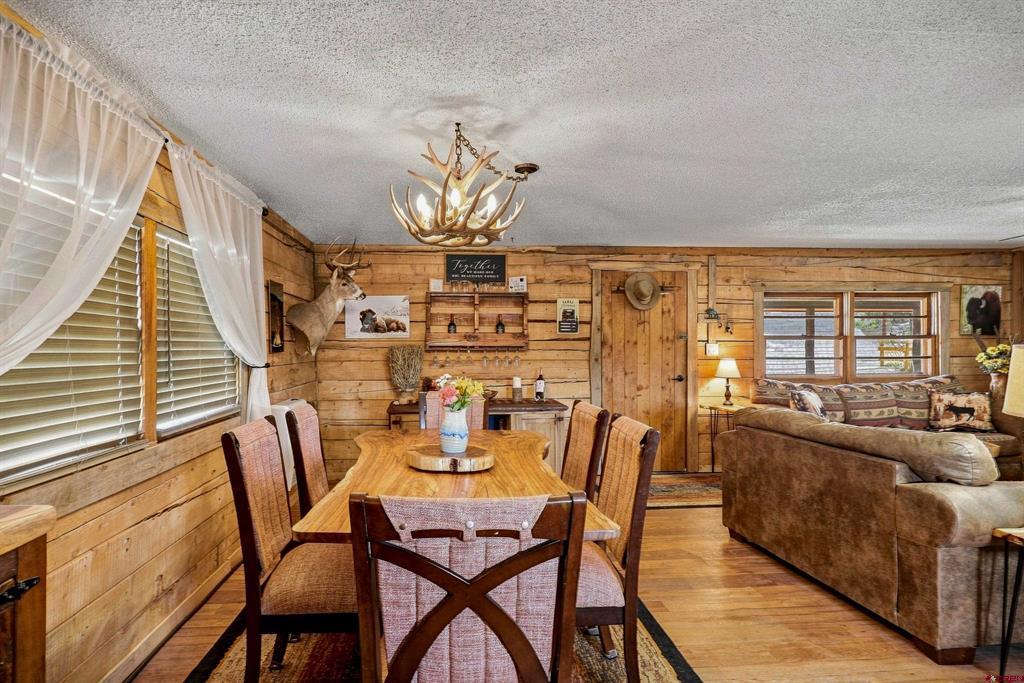 111 Metro Drive Pagosa Springs CO 81147