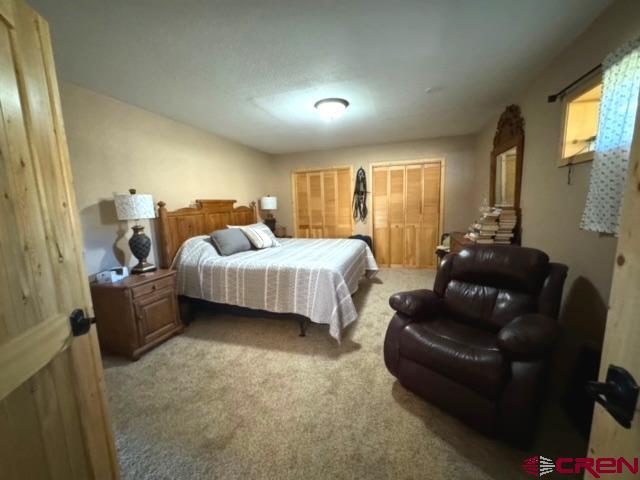 1831 Willow Park Drive South Fork CO 81154