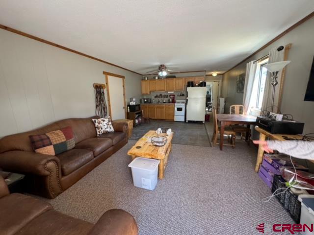 1831 Willow Park Drive South Fork CO 81154