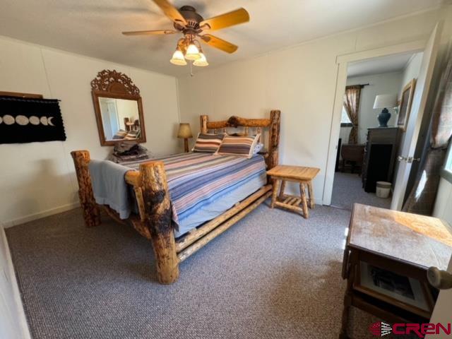 1831 Willow Park Drive South Fork CO 81154