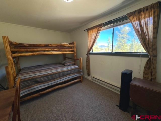 1831 Willow Park Drive South Fork CO 81154