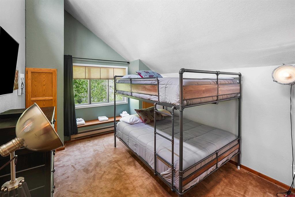 166 Yankee Girl Court Durango CO 81301