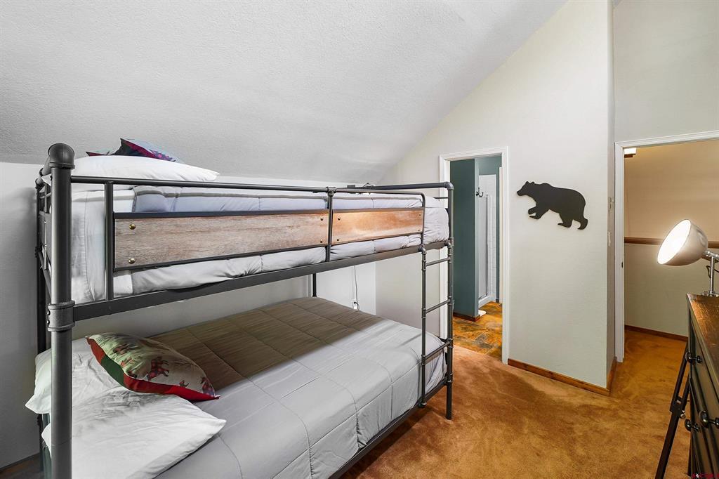 166 Yankee Girl Court Durango CO 81301