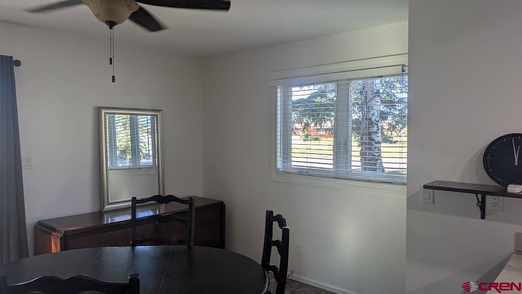 247 Davis Cup Pagosa Springs CO 81147