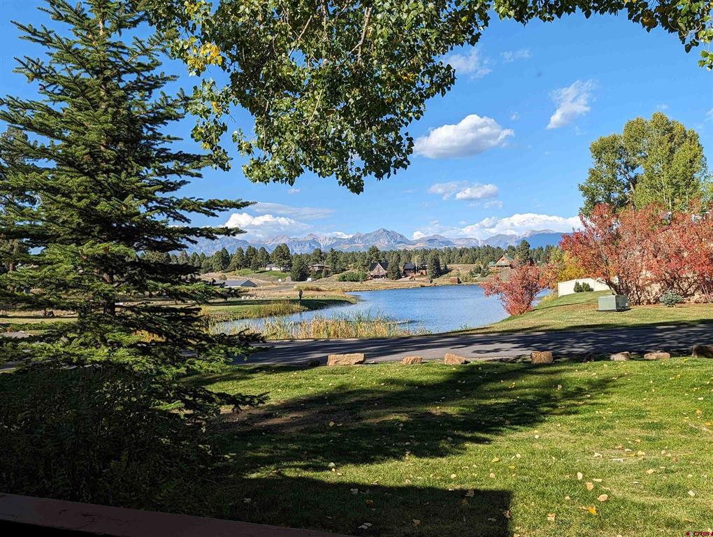 247 Davis Cup Pagosa Springs CO 81147